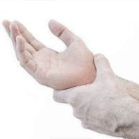 Wrist / Hand Pain
