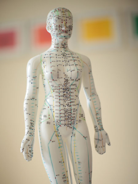Sculpture showing acupuncture points
