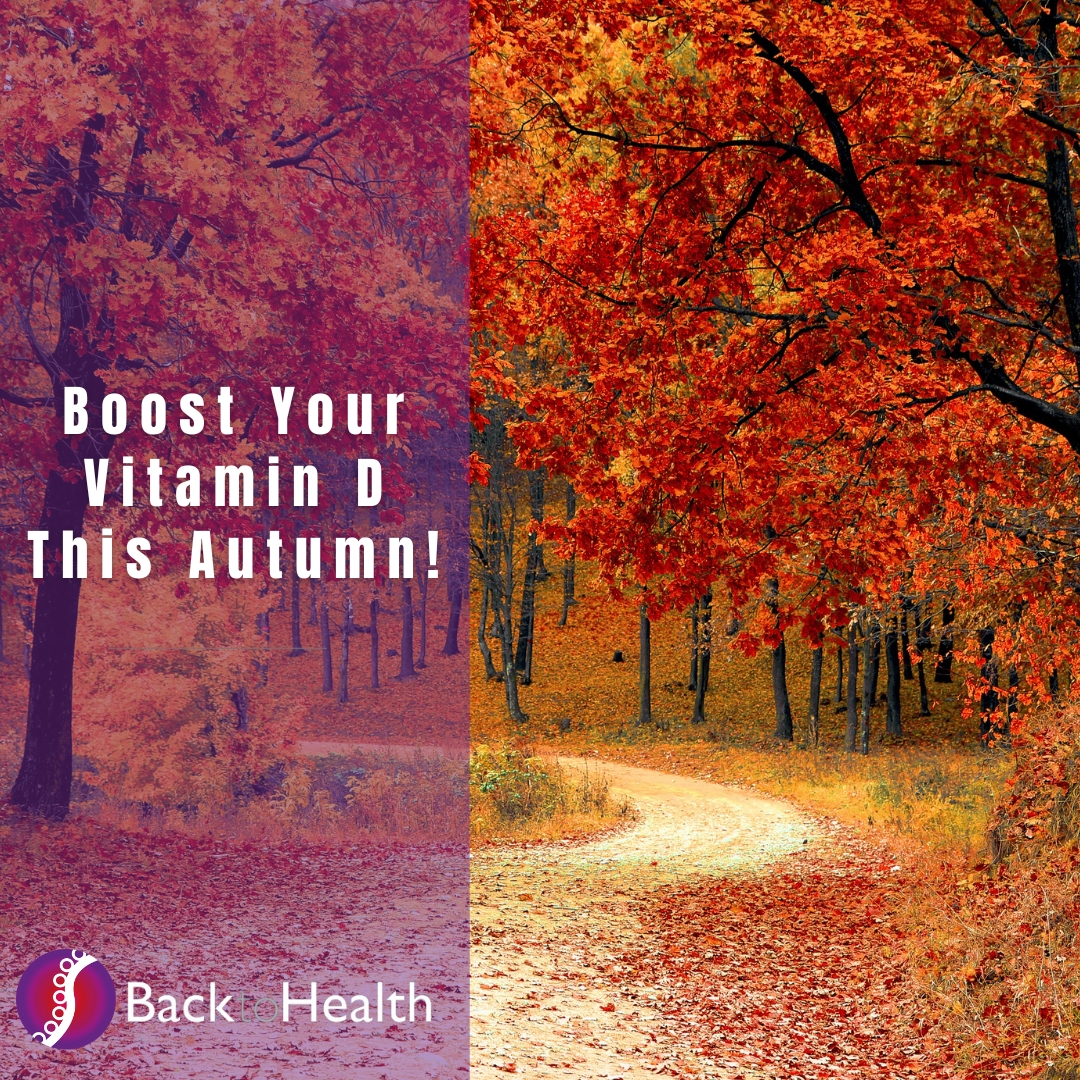 Boost Your Vitamin D This Autumn!